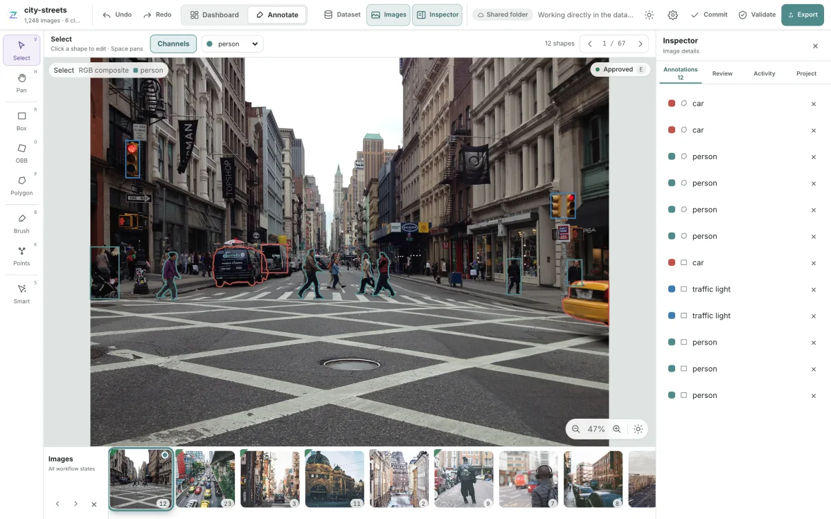 ZenLabel dataset editor with synthetic annotated images.